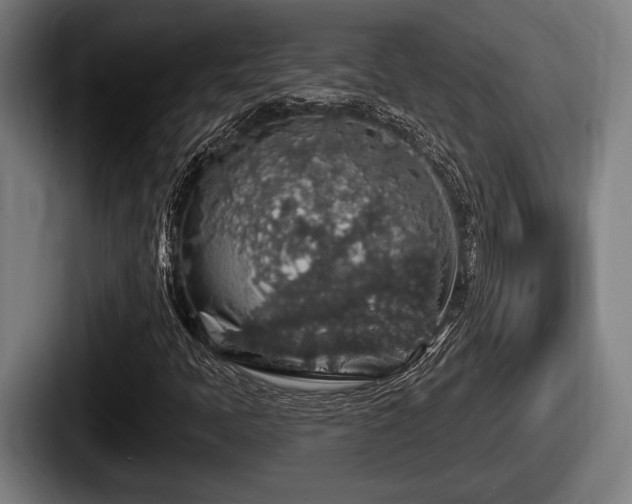 X0000087681397200705111251