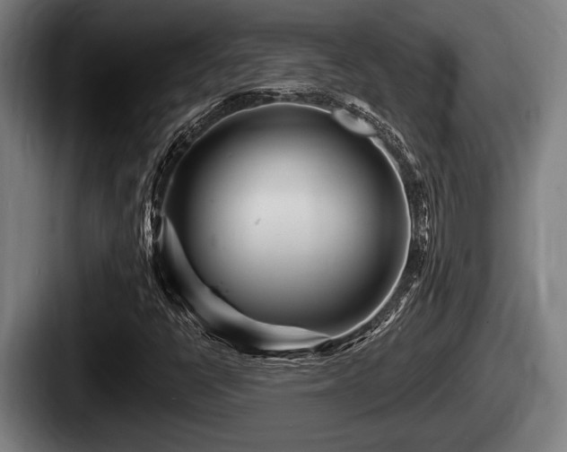 X0000087681398200705111251