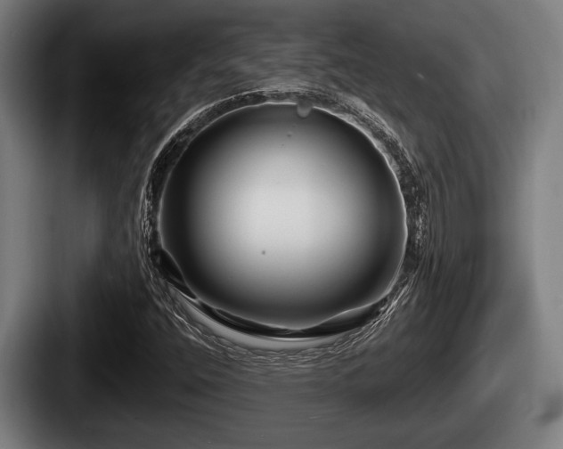X0000087681400200705111251