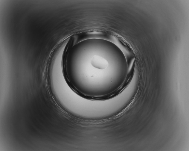 X0000087681402200705111251