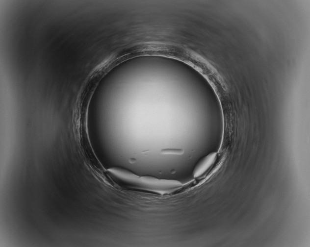 X0000087681403200705111251