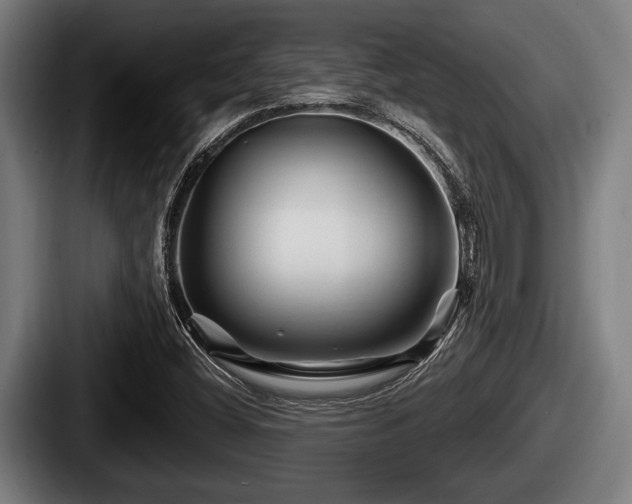 X0000087681404200705111251