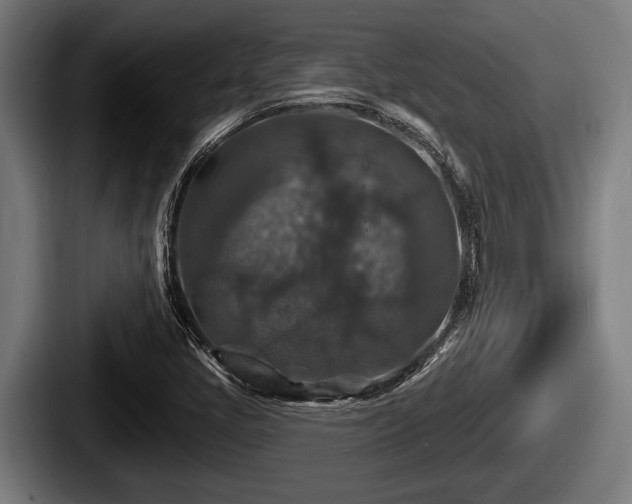 X0000087681405200705111251