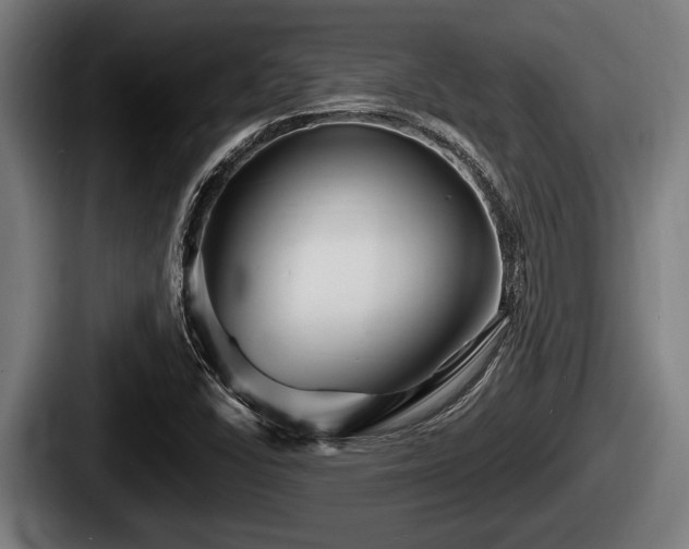 X0000087681406200705111251