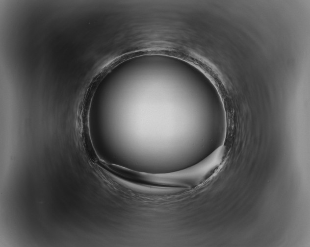 X0000087681407200705111251