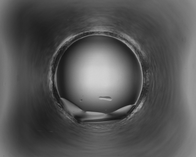 X0000087681408200705111251
