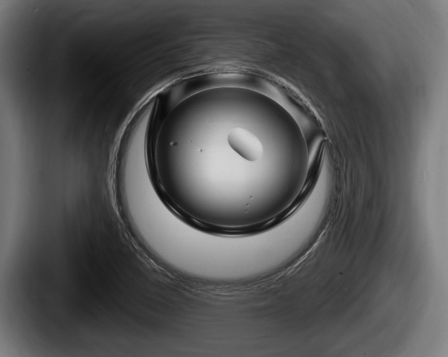 X0000087681410200705111251