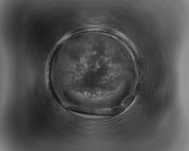 X0000087681411200705111251