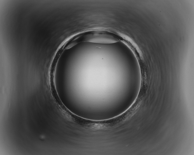 X0000087681412200705111251