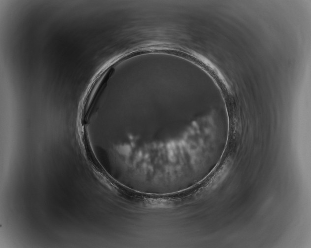 X0000087681413200705111251