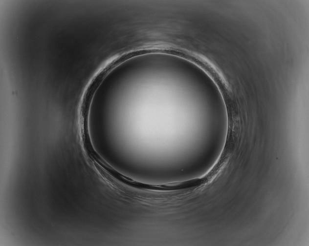 X0000087681414200705111251
