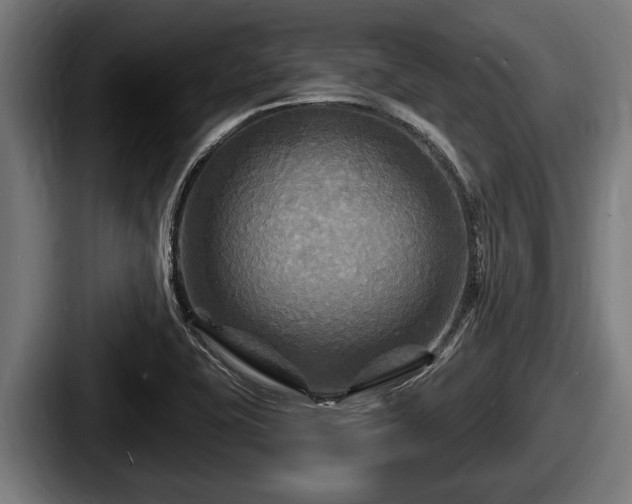 X0000087681415200705111251
