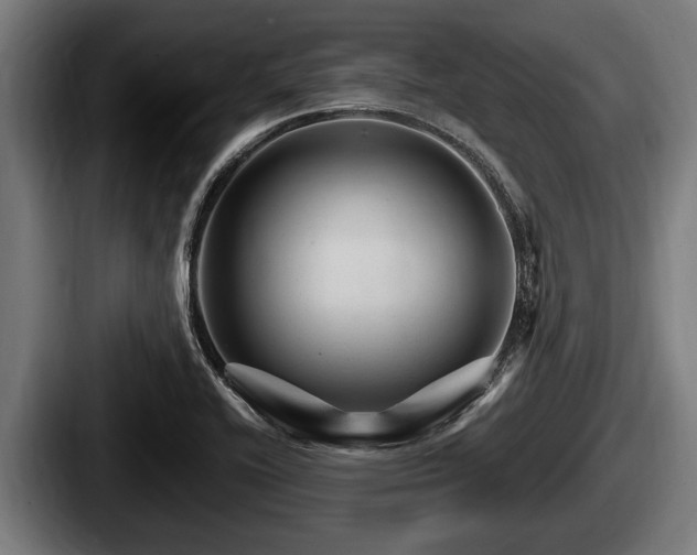 X0000087681416200705111251