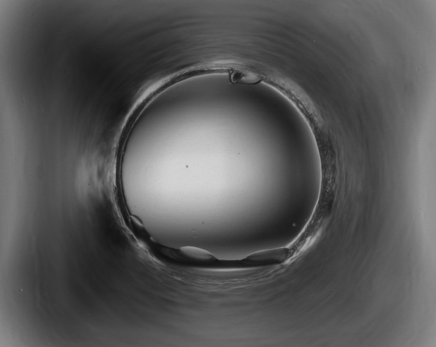 X0000087681420200705111251