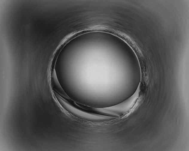 X0000087681422200705111251