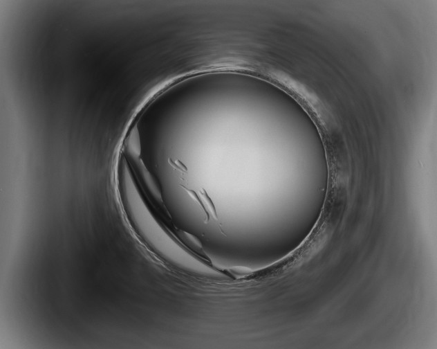 X0000087681423200705111251