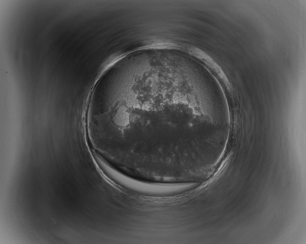 X0000087681425200705111251