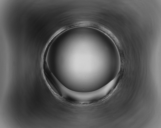 X0000087681426200705111251