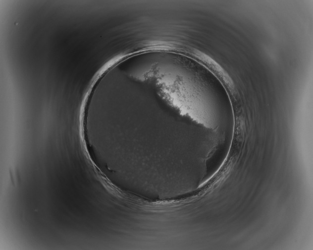 X0000087681427200705111251