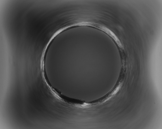 X0000087681428200705111251