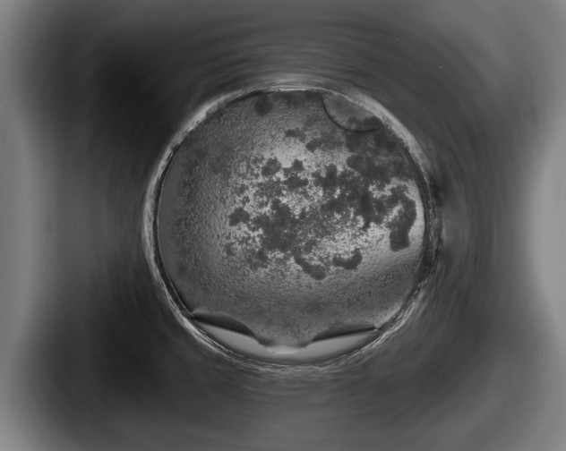 X0000087681429200705111251