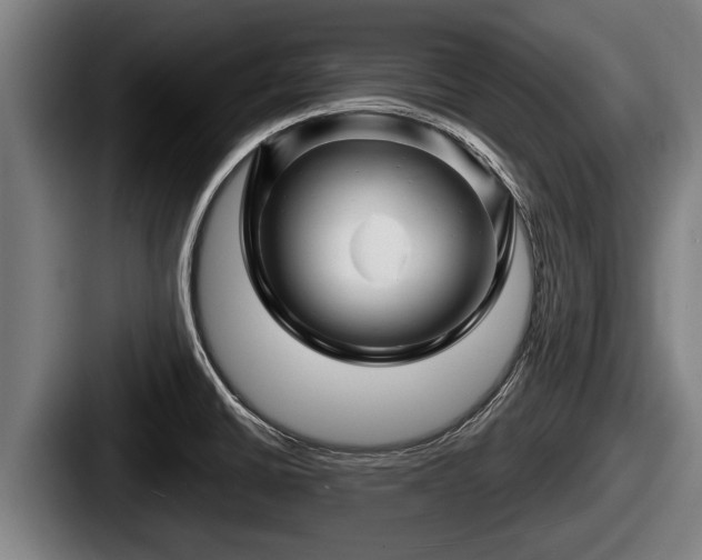 X0000087681430200705111251