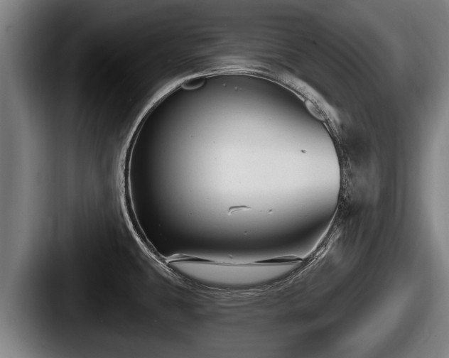 X0000087681431200705111251
