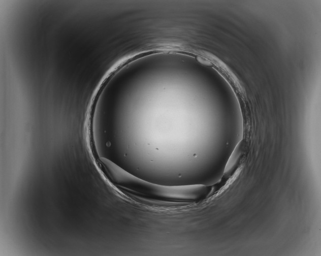 X0000087681432200705111251