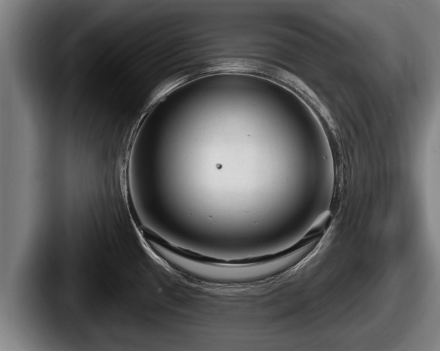 X0000087681433200705111251