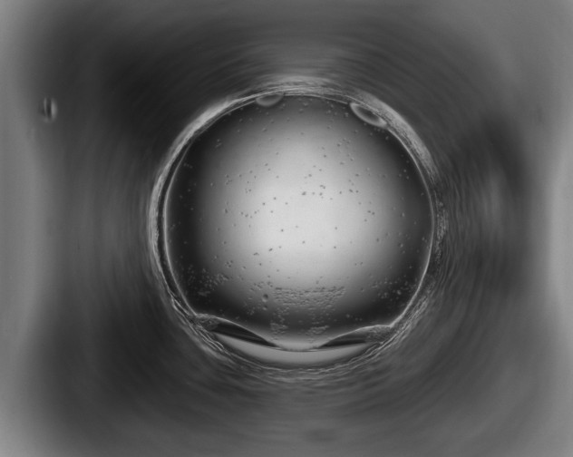 X0000087681435200705111251
