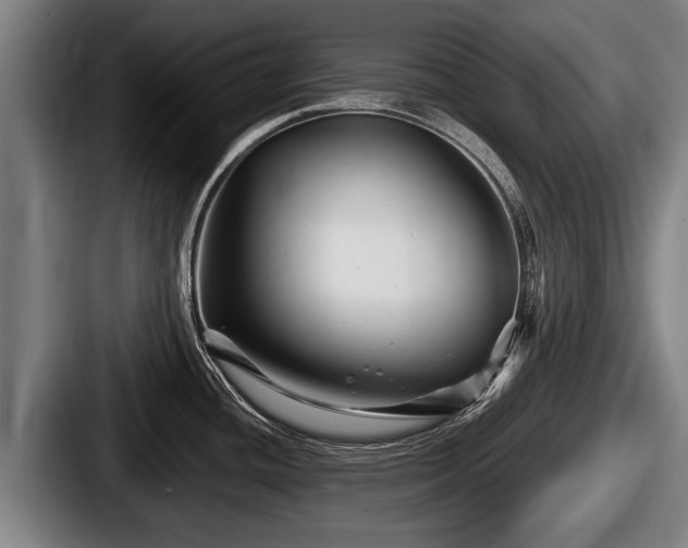 X0000087681436200705111251