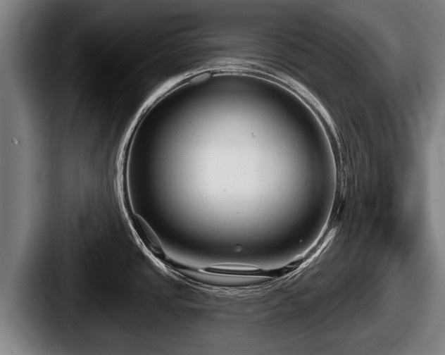 X0000087681437200705111251