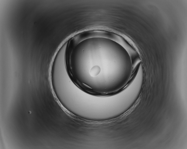 X0000087681438200705111251