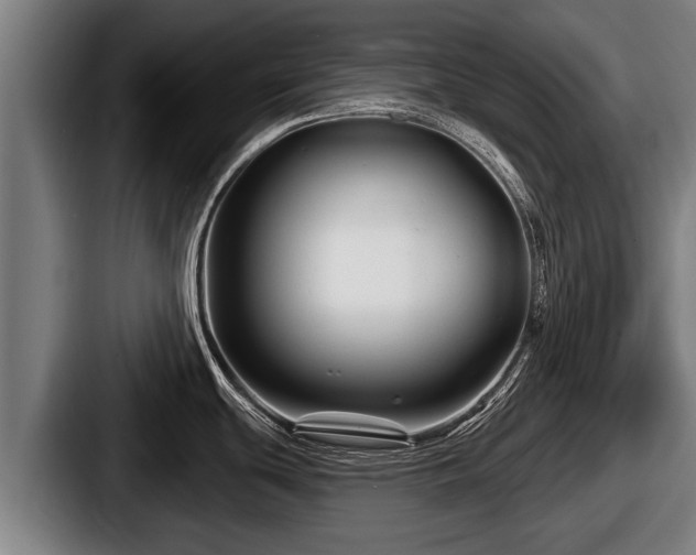 X0000087681439200705111251