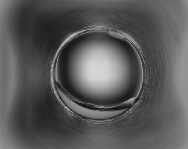 X0000087681440200705111251