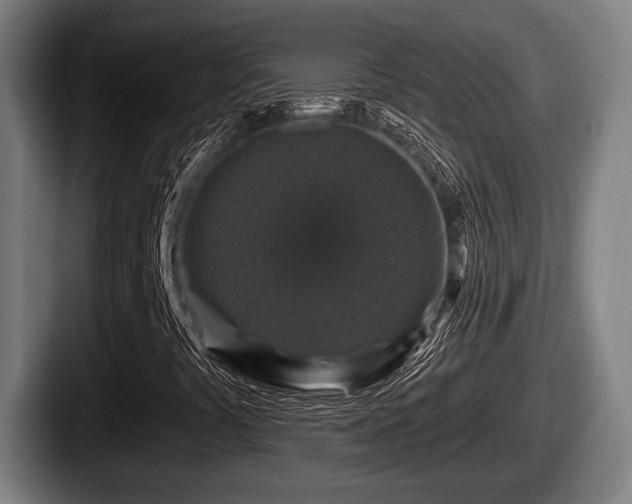X0000087681441200705111251