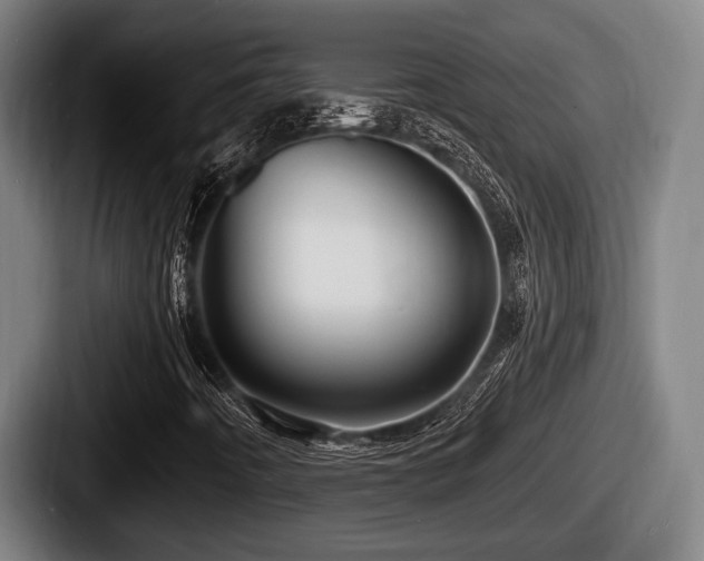 X0000087681442200705111251