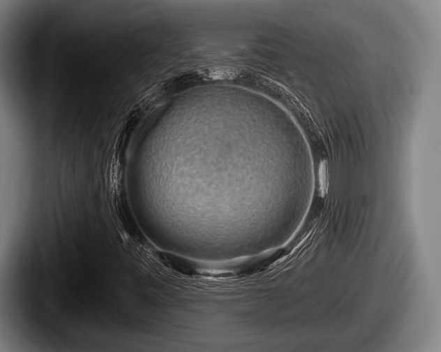 X0000087681443200705111251