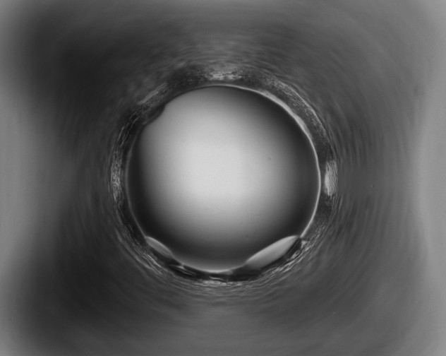 X0000087681444200705111251
