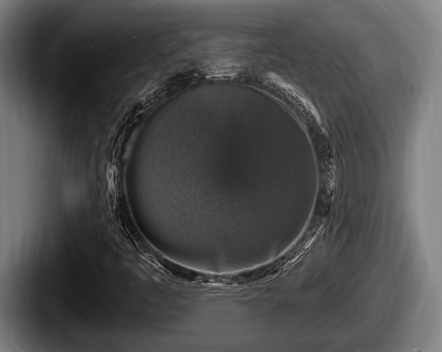 X0000087681445200705111251