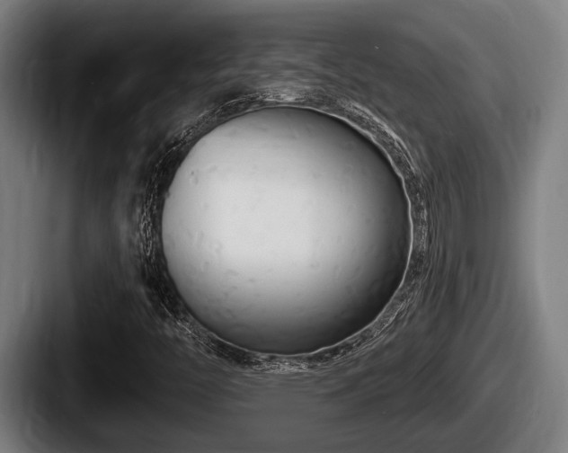 X0000087681446200705111251