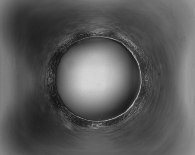 X0000087681447200705111251