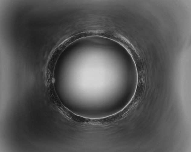 X0000087681448200705111251