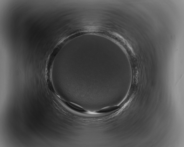X0000087681449200705111251