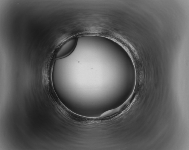 X0000087681451200705111251