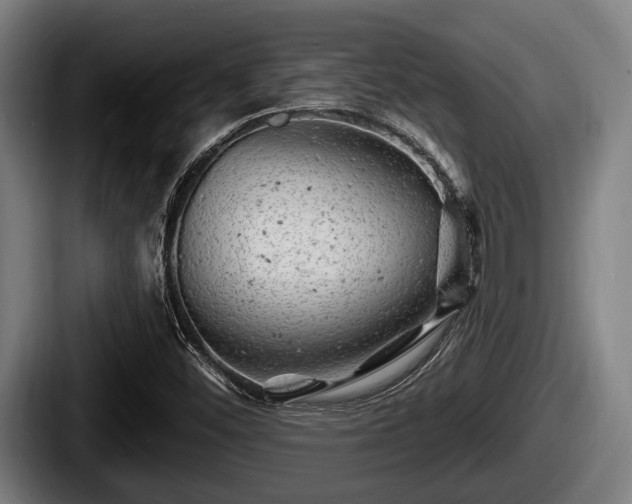 X0000087681452200705111251