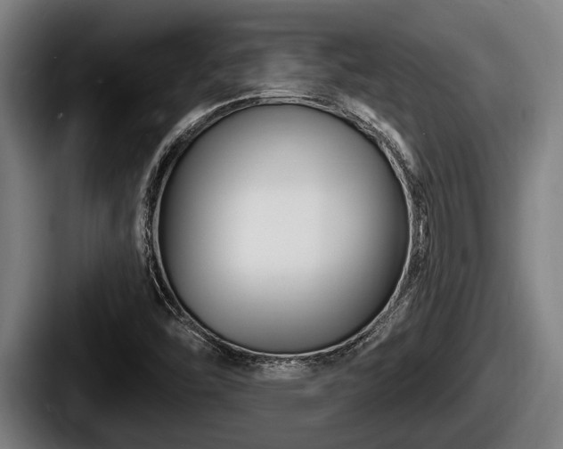 X0000087681454200705111251