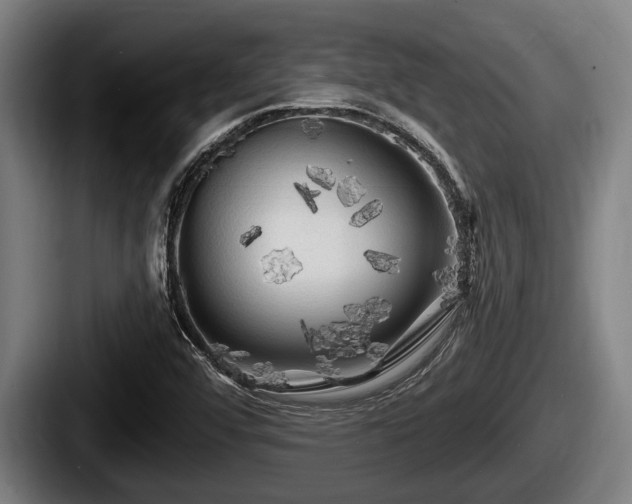 X0000087681456200705111251