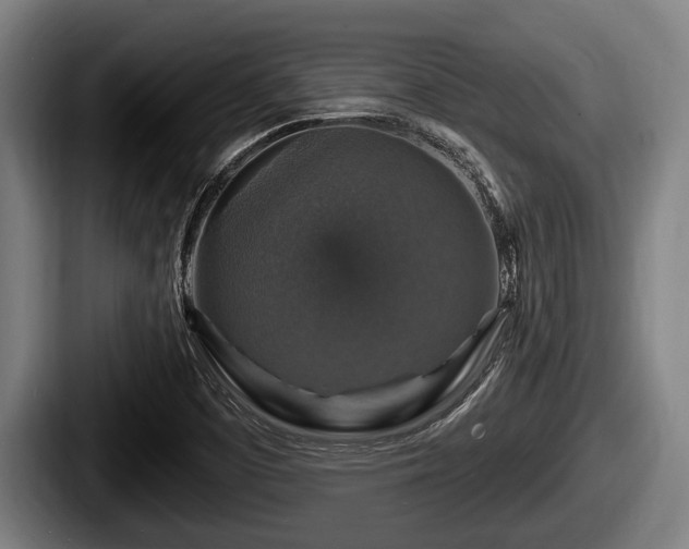 X0000087681457200705111251