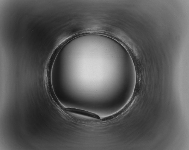 X0000087681458200705111251